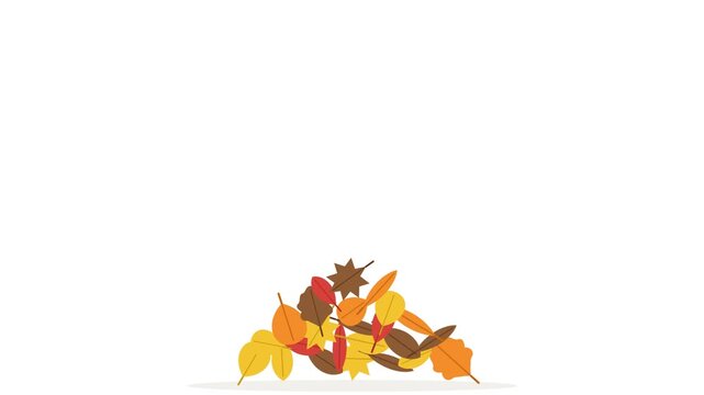 A flat 2D animation sequence of colorful autumn leaves falling to form a pile against a white background. Features warm seasonal colors. Perfect for autumn themed motion graphics.