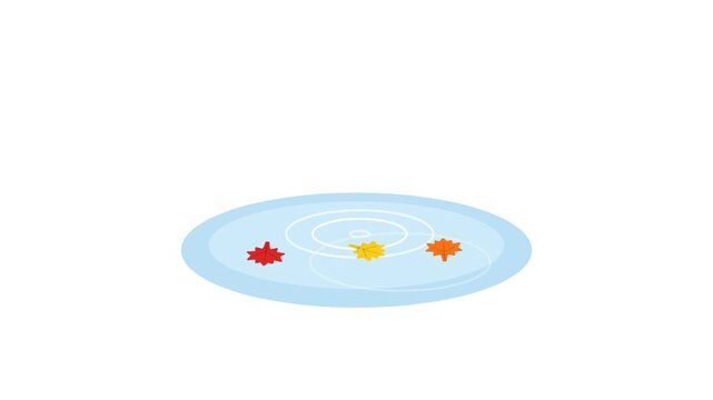 2D animation of red and orange autumn leaves falling onto a blue water puddle surface on white background. Ideal for seasonal marketing or nature-themed video projects.