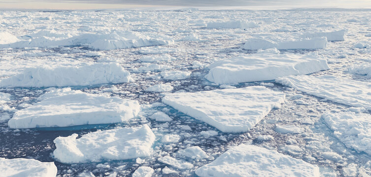 Polar sea ice floes drifting across a frozen Arctic ocean, illustrating climate change, global warming, and the changing cryosphere