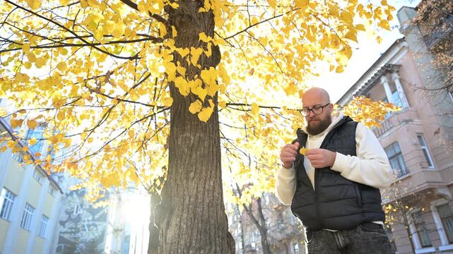 Man stands beside large tree, appreciating beautiful yellow foliage as sunlight filters through leaves. Cozy autumn atmosphere surrounds him as he enjoys nature's stunning display in the city.