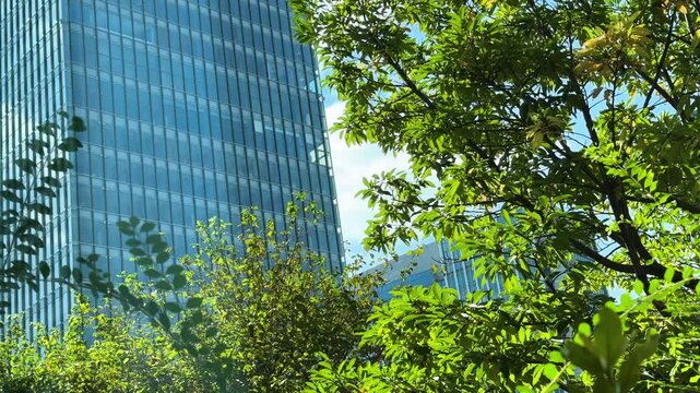 Glass High-Rise Building Framed by Green Trees in Central Tokyo