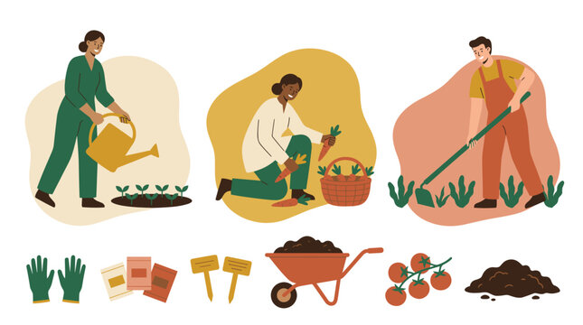 Three vegetable garden scenes: gardener watering seedlings