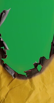 Crumpled Yellow Paper Burns Away on Green Screen. Yellow paper burns away on green chroma key background. Crumpled sheet blackens around edges as flames consume it leaving green screen space for