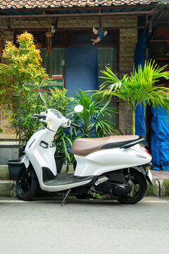 Scooter. Scooter is parked on a street beside a tropical home with vibrant plants