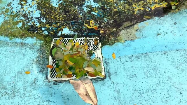 The swimming pool water is being drained, it enters the pool's drainage system, carrying with it dry leaves that swirl around within the drainage network.