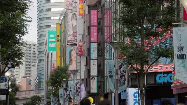 Tokyo Scene  :  Streetscape along the Main Avenue of the "Otome" Girly-Geek Culture Hub  |  Ikebukuro, Tokyo, Japan