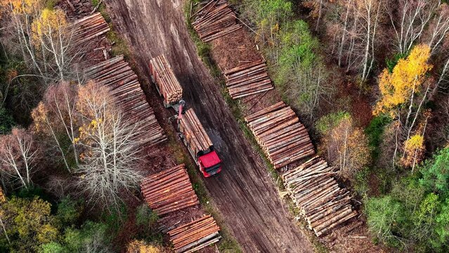 Aerial view of logging truck transporting timber along wooded pathway in autumn season