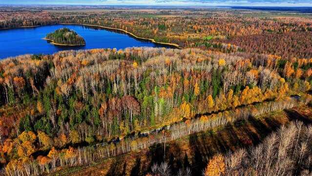Aerial view of forest clearing prosek trail near tranquil autumn lake with a small island