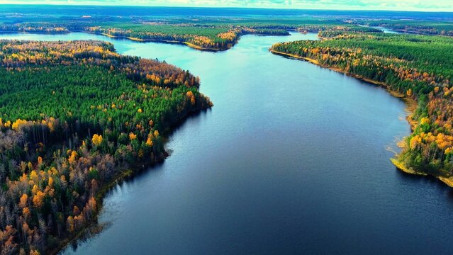 Flowing river surrounded by autumn-colored forest with vibrant trees and calm waters
