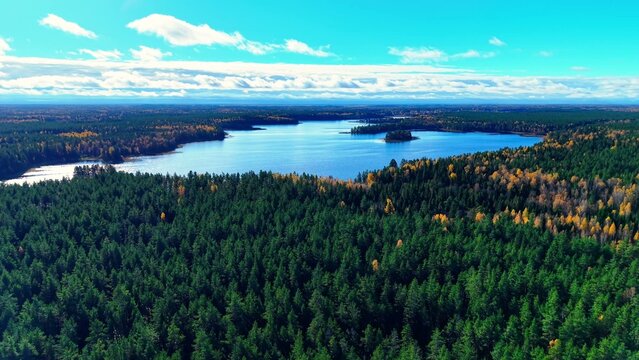 Aerial view showcasing vibrant fall foliage surrounding a tranquil lake in bright daylight