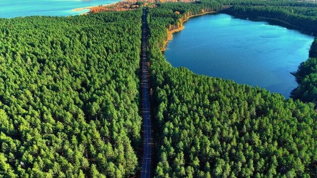 Aerial view of dense evergreen forest bisected by a winding road adjacent to serene lake