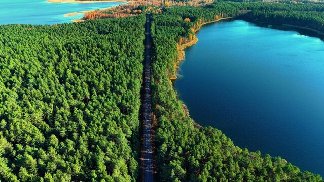 Aerial view of a winding road surrounded by dense green pine forests near a tranquil lake