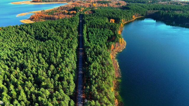 Dense pine forest lining the riverbank with vibrant autumn foliage on the shore