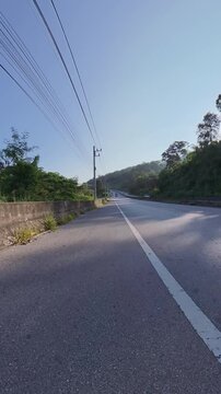 Vertical cycling POV footage along a quiet rural asphalt road toward forested hills, with overhead power lines, roadside greenery and bright sunlight casting long shadows across the pavement.