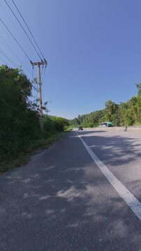 Vertical downhill cycling POV on a sunny road through green forested hills, with dappled tree shadows across the asphalt, roadside curb markings and a clear blue sky.
