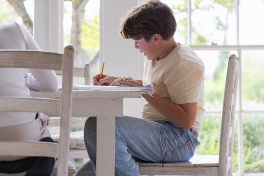 pre teen and early teen boy doing homework together in light filled room