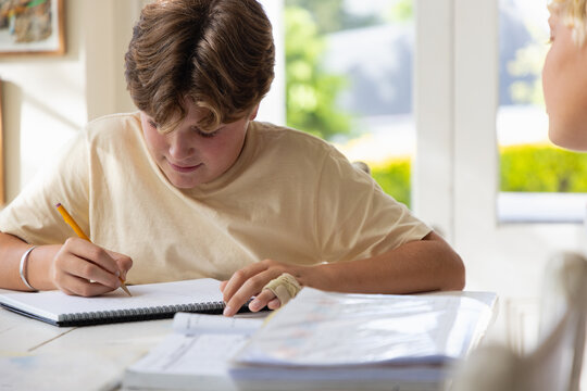 pre teen and early teen boy doing homework together in light filled room