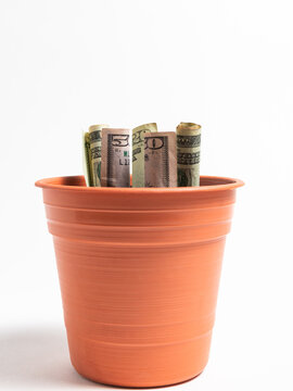 Rolled US Dollar Bills Growing in an Orange Flower Pot ymbolizing financial investment