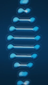 Vertical video: Camera focus starting helix moving diagonal rotating pulsing nodes to show DNA form