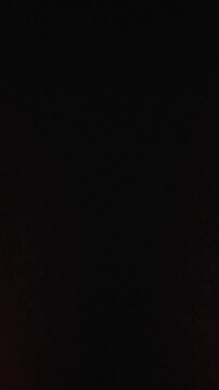 Vertical video: Ceiling light appearing, corridor revealing wood panels and doorway showing details