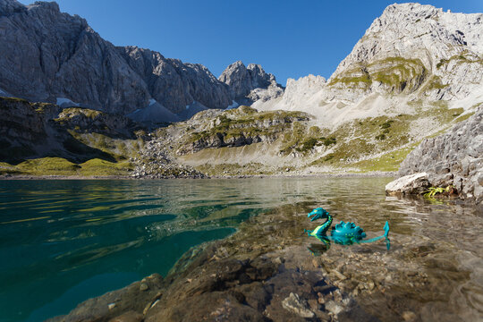 Lake drachensee with toy dragon and mountains near Ehrwald Austria