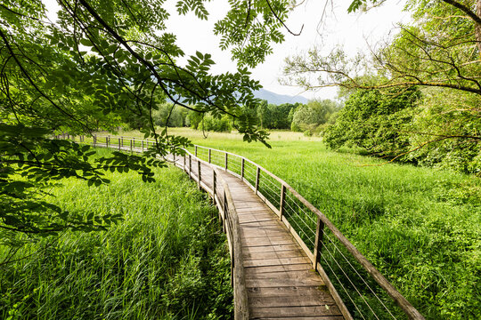 Wooden jetty crossing grassy reeds at lake idro in Trentino Italy
