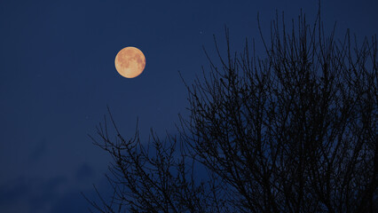 Full Moon, stars and planets above landscape silhouettes. © astrosystem