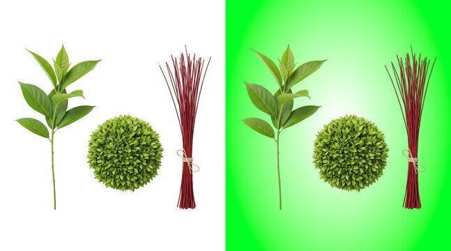 Decorative green plant branch, a round boxwood shrub, and a bundle of red sticks on white