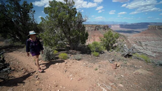 Senior woman hikes along the Gander trail, surrounded by breathtaking views of Zion National Park in Utahs natural beauty.