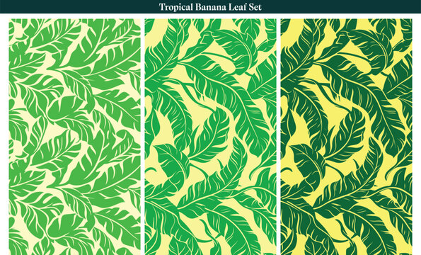 tropical banana leaf seamless pattern with exotic jungle leaves and plants vector of illustrations background set