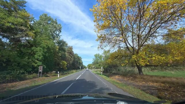 Autumn Drive on Road 503 Through Forest at Pezinska Baba, Slovakia.