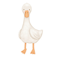 Cute goose hand painted isolated illustration. Farm bird watercolour drawing, funny childish standing animal, texture graphic © Elena