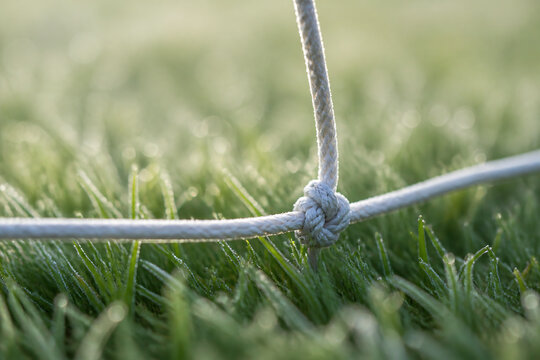 A white rope tied in a knot lies across green grass outdoors on a bright day.
