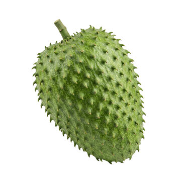 Green soursop with soft curved spines