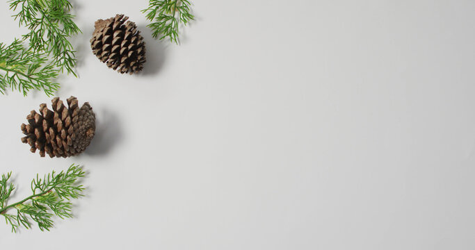 Image of christmas decorations with pine cones and copy space on white background