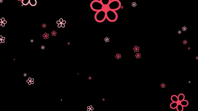 Cute pink flower outlines floating and falling over a transparent background