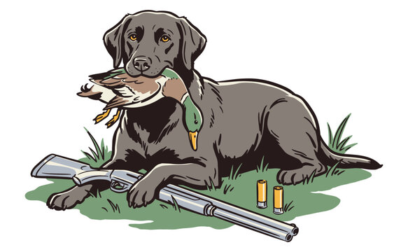 Hunting Dog Illustration Holding Waterfowl with Shotgun and Ammo