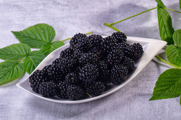 Fresh blackberries in white dish with green leaves on gray textured background © Andrei Starostin