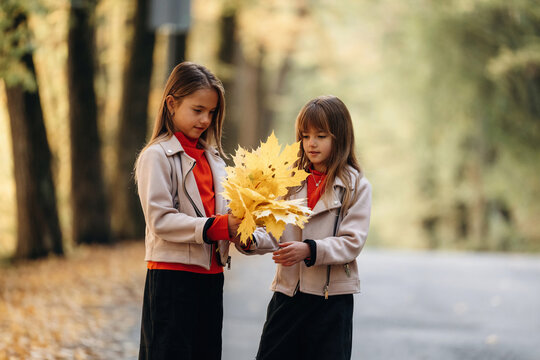 Two girls holding a bouquet of autumn leaves on a tree lined road, wearing coordinated school style outfits in a warm outdoor portrait