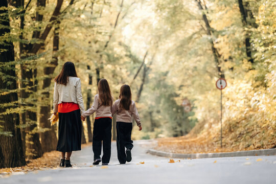 Three people walking hand in hand along a sunlit autumn forest road with golden foliage, fallen leaves, and a roadside traffic sign in a woodland setting