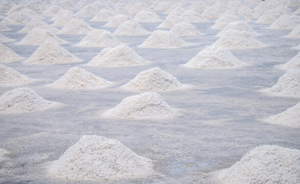 White sea salt piles arranged across a traditional coastal salt farm during harvest season, where seawater evaporates naturally to produce sodium chloride crystals for food and industry.