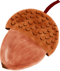 Watercolor Brown Acorn Isolated, Autumn Fall Nature Element Illustration © Uswatun