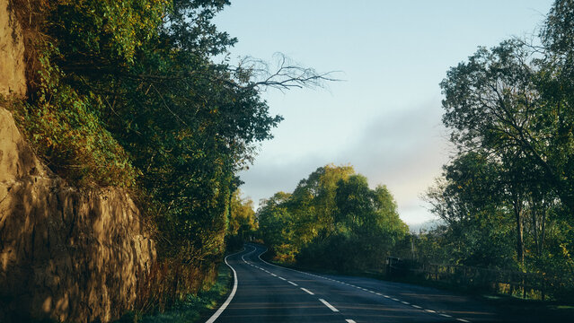 scenic and empty road on an autumn morning