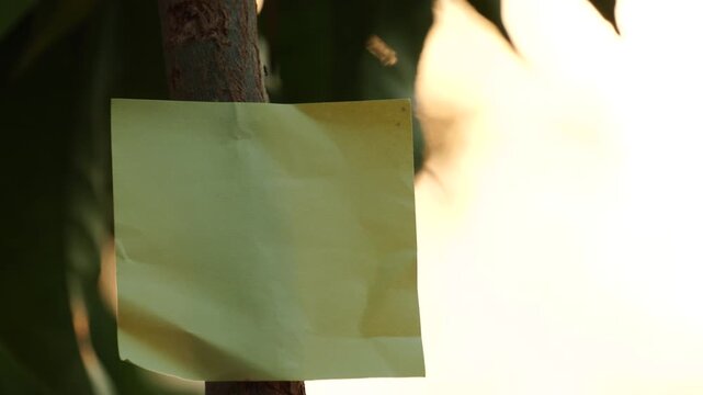 Blank yellow adhesive note paper stuck on tree trunk with soft natural sunlight background for text placement