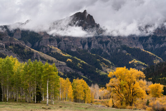 Aautumn Foliage in the Rocky Mountains of Colorado.. Fog blankets the peaks of the Cimarron Ridge in the San Juan Mountains.