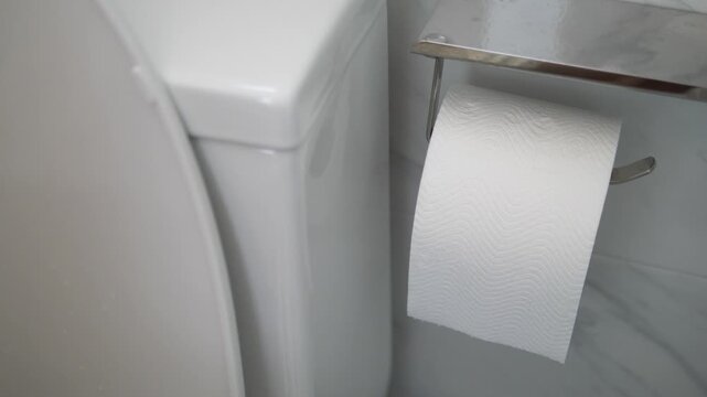 Close up of hand pulling toilet paper from roll dispenser in bathroom
