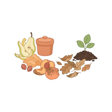 Fresh pears and sliced peaches with a terracotta pot and dry autumn leaves beside a small green seedling growing in dark soil on white background