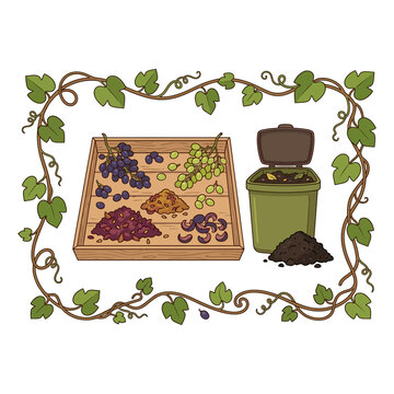 Grape harvest waste and organic compost bin with vine leaves frame illustration showing fruit scraps and soil for sustainable gardening and agriculture recycling practices