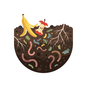 Compost pile cross section with banana peel apple core earthworms and plant roots showing organic waste decomposition process in a flat vector illustration style