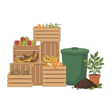 Organic waste collection with wooden crates filled with fruit scraps and peels beside a green compost bin and a potted plant on white background